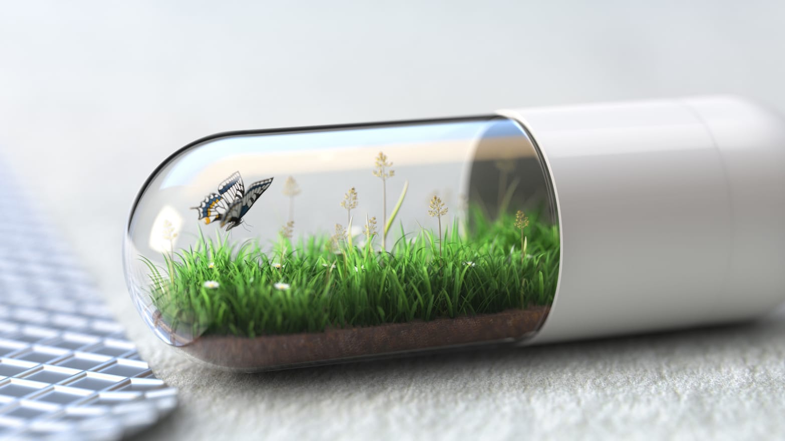 La medicina natural como alternativa